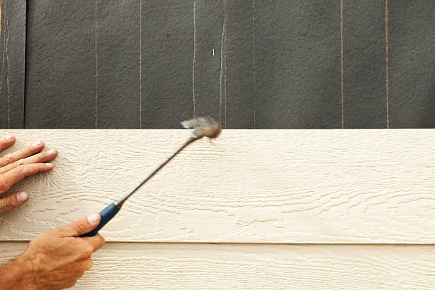 Best Vinyl Siding Installation  in Tazewell, TN